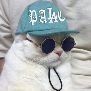 Meet your Posher, Christian